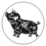 year of the pig