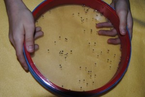 traditional ocean drum